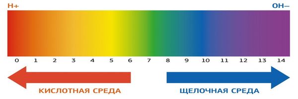 Кислая среда кожи. PH кислотно щелочной баланс. Кислотно щелочная среда фото. Шкала PH на прозрачном фоне. Кислотно-щелочной баланс картинки.